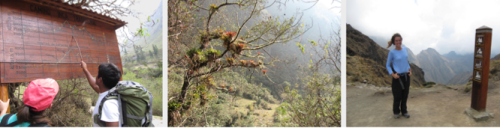 Trilha inca segundo dia